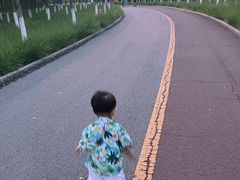 -天津东丽湖风景区