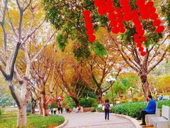 -东风公园