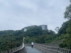 -福道