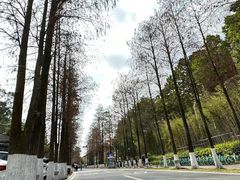 -鹿福农庄(南沙天后宫店)