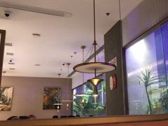 -佬肥猫(七宝宝龙店)