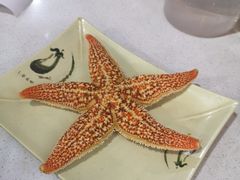 -大锅强·蒸海鲜青岛菜(吾悦广场店)