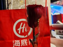 -海底捞火锅(让胡路万达店)