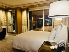 -拉斯维加斯永利酒店