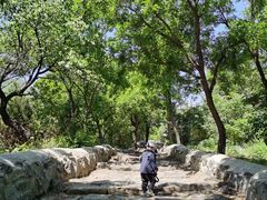 -阳台山自然风景区