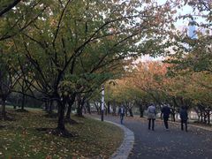 -苏州河梦清园环保主题公园