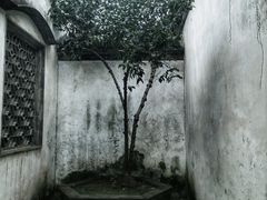 -个园