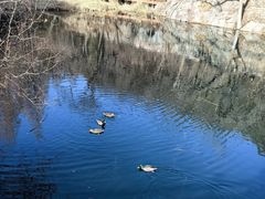 -国家植物园南园