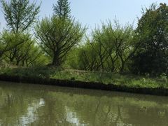 -同里国家湿地公园