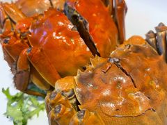 -金典银峰老鹅馆·昆山菜(亭林公园店)