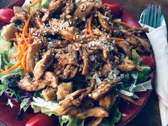 日式照烧鸡肉沙拉-萨尔瓦多Salvador's