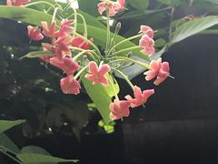 -龙达温泉生态城