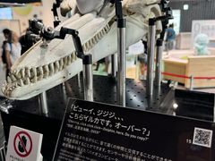 -日本科学未来馆