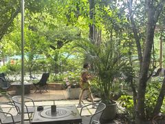 -谷咖啡·鲜花绿植花园餐厅