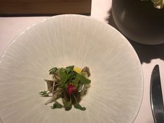 -蝶舍·MAISON PAPILLON