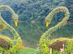 -广州市石门国家森林公园