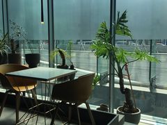 靠窗位-半山腰·云南菜(侨福芳草地店)