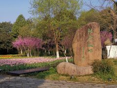 -东湖景区