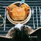家里吃大闸蟹，它总归头排头座！