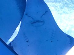 -珠海长隆海洋王国