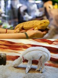 -酷嗒动物文化乐园(cutezoo西溪乐天城店)