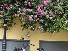 -颐和路民国时期公馆风貌区