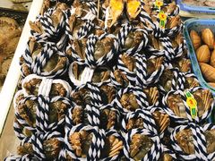 -南沙十九涌渔人码头-南门