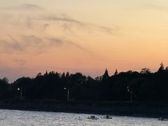 -贡湖湾湿地公园
