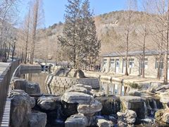 -白水寺森林公园
