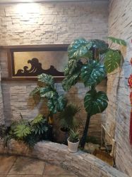 点击看大图 -卡尔诗·科技美肤连锁