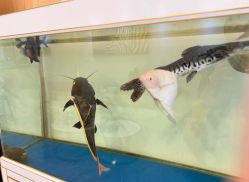 -FUMEIHUI·科技美肤·美体SPA