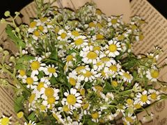 -循礼门鲜花花市(武汉循礼门店)