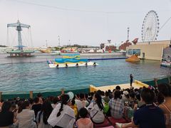 -秦皇岛乐岛海洋王国