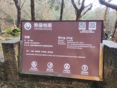 -都江堰中华大熊猫苑