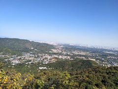 -香山公园