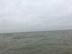 -日照世帆赛基地