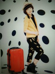 点击看大图 -苏菲亚婚纱影楼尊爵店(昆区店)