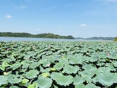 -东钱湖旅游度假区