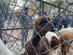 -长白岛森林公园