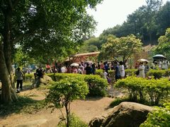 -牛鱼嘴原始生态风景区