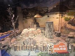 -正佳雨林生态植物园