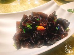酱汁小黑木耳-苏浙汇(古北店)