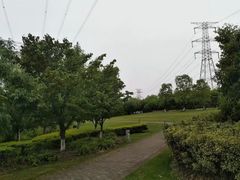-九里河湿地公园