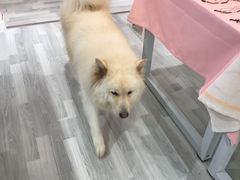 -肆兮眼镜·蔡司·徕卡战略合作店(大坪店)