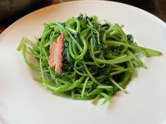 清炒鸡毛菜-北京老铺烤鸭(西稍门店)
