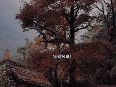 -会稽山峡洞漂流-上青古道