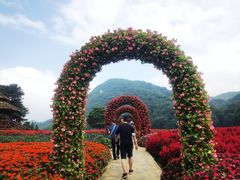 -广州市石门国家森林公园