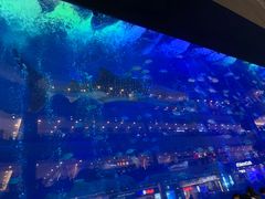 -成都浩海立方海洋公园