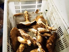 -南渝食府.石锅鸡(尚城花园店)