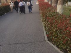 -洋湖国家湿地公园